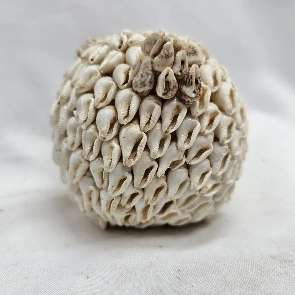 Vintage Sea Shell Pig Piggy Bank Coin‎ Bank